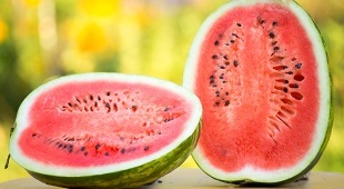 the effectiveness of the watermelon diet for weight loss