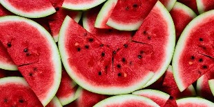 the diet in the watermelon