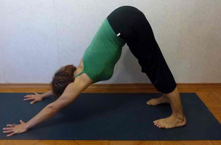 Adho Mukha Svanasana Pose